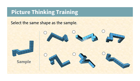 Picture Thinking Training